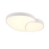 lampa sufitowa RISE 647519231 Trio | Sklep z lampami