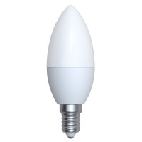 BULB 989-509