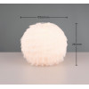 FURRY R51581001