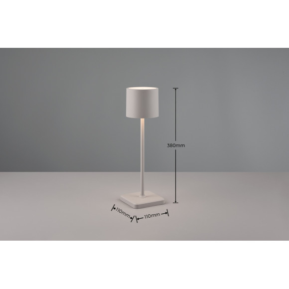 FERNANDEZ R54096177