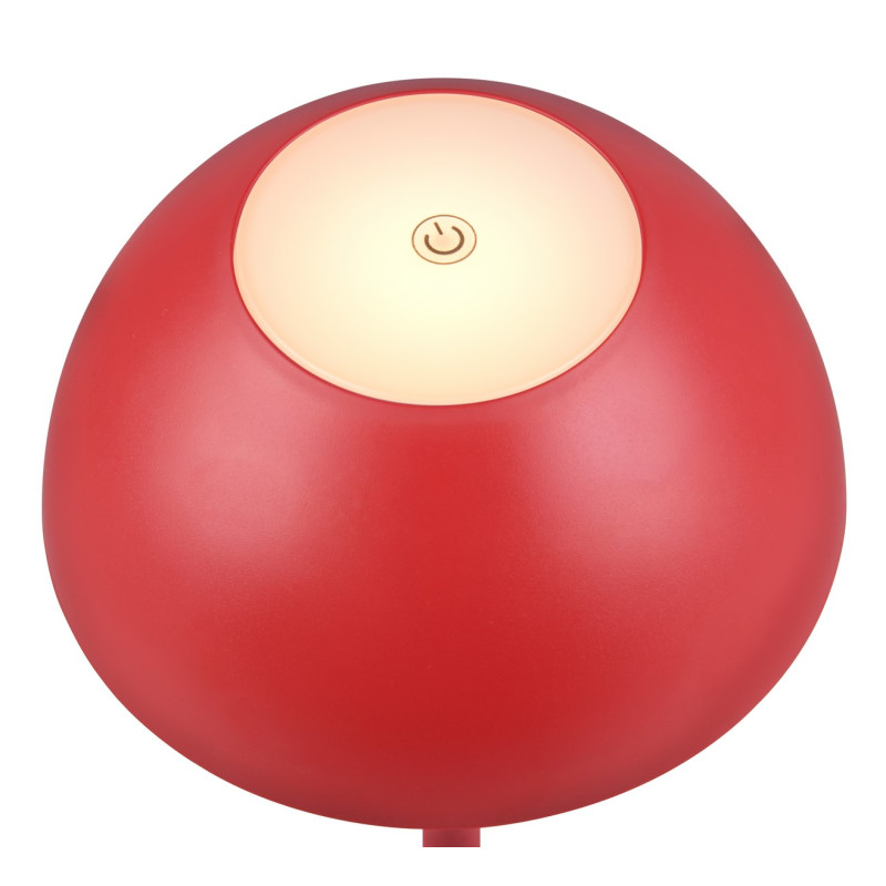 RICARDO R54106110