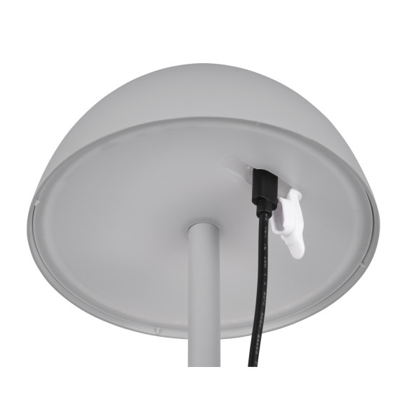 RICARDO R54106177