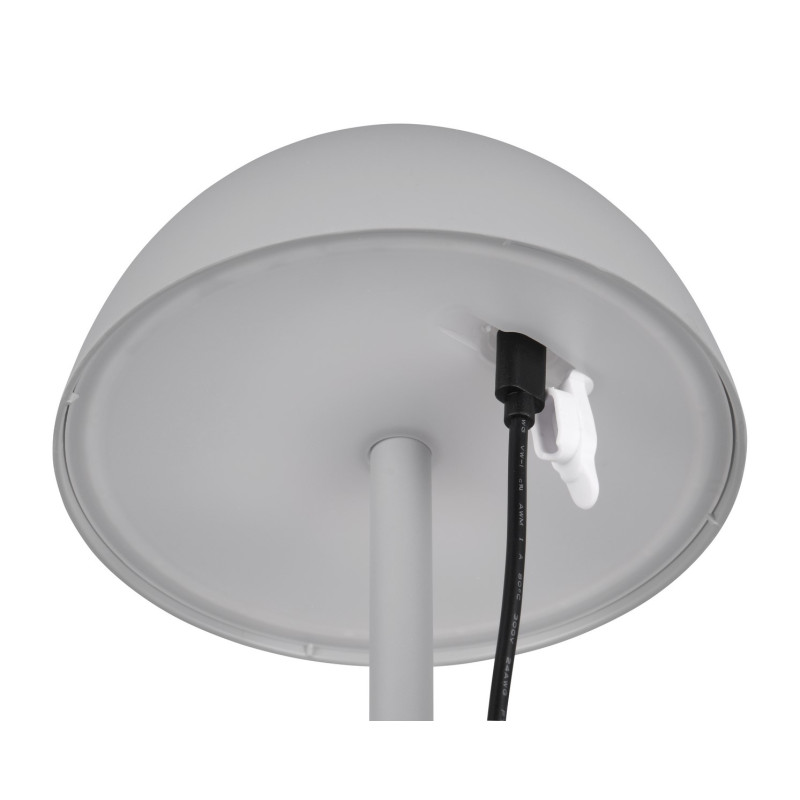 RICARDO R54106177