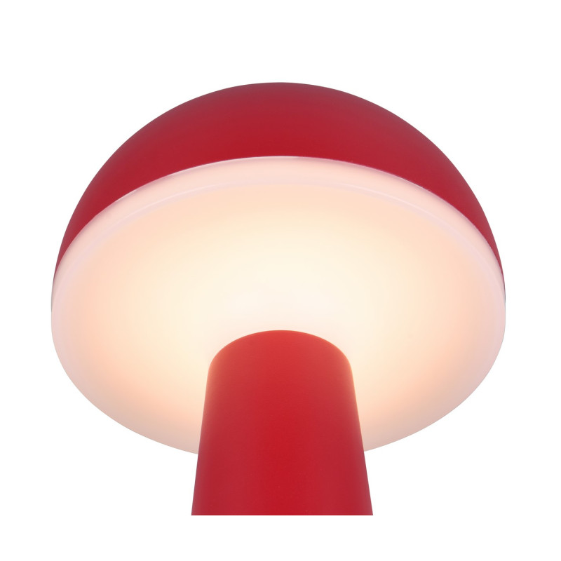 FUNGO R57716110