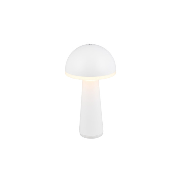 FUNGO R57716131