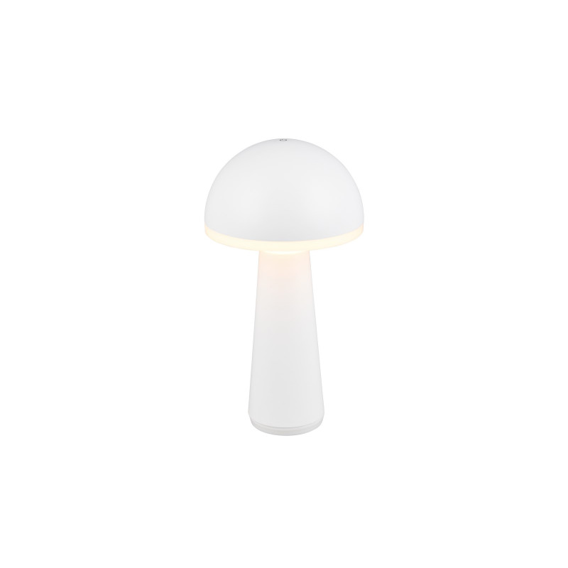 FUNGO R57716131