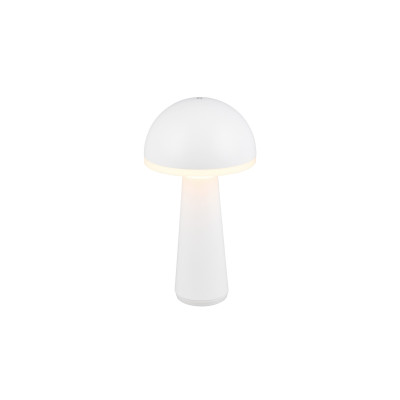 FUNGO R57716131