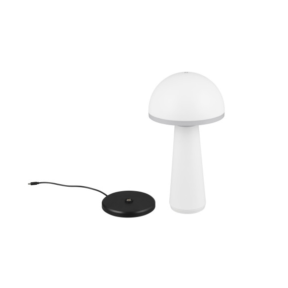 FUNGO R57716131