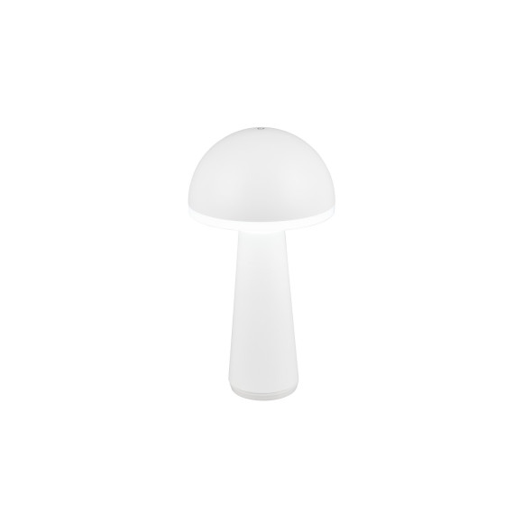 FUNGO R57716131