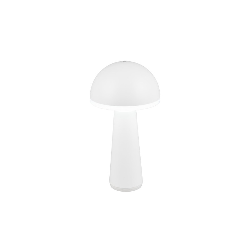 FUNGO R57716131