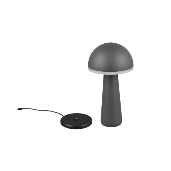 FUNGO R57716142