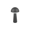 FUNGO R57716142