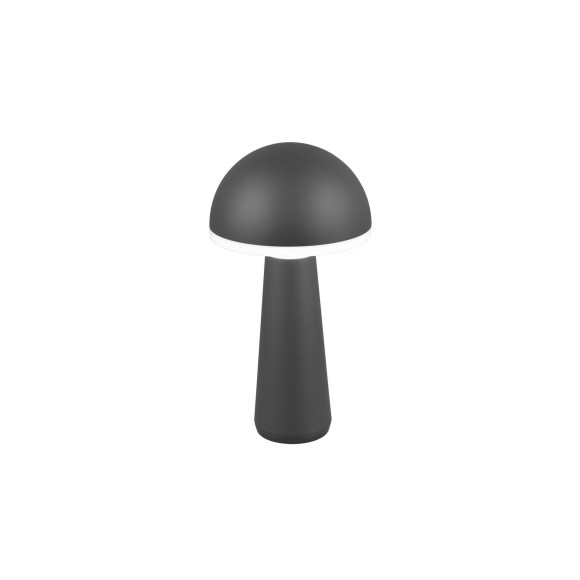 FUNGO R57716142