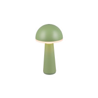 FUNGO R57716149