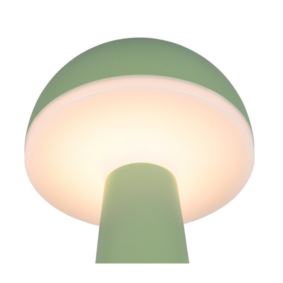FUNGO R57716149