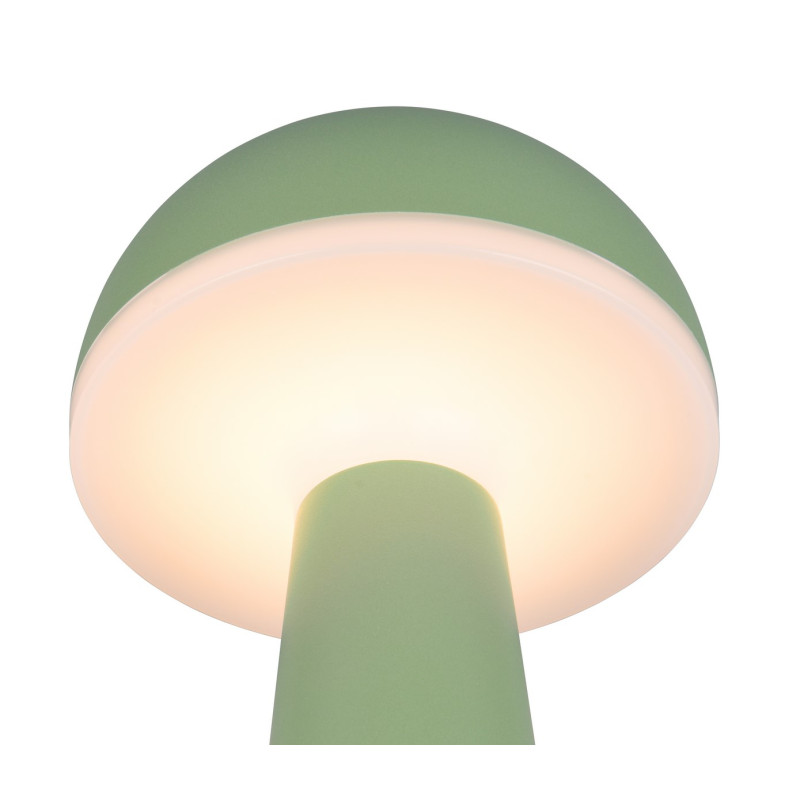 FUNGO R57716149