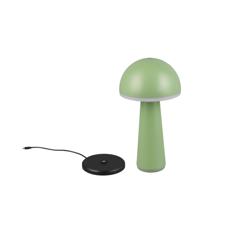 FUNGO R57716149