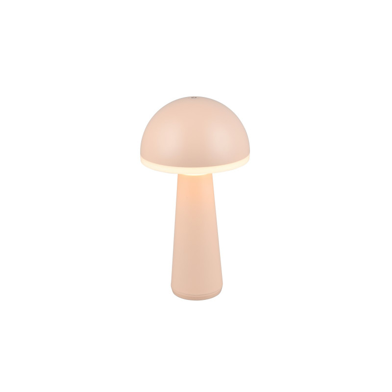 FUNGO R57716166