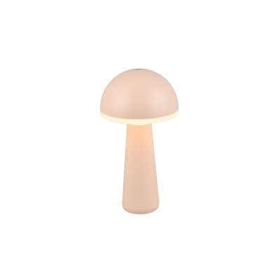 FUNGO R57716166