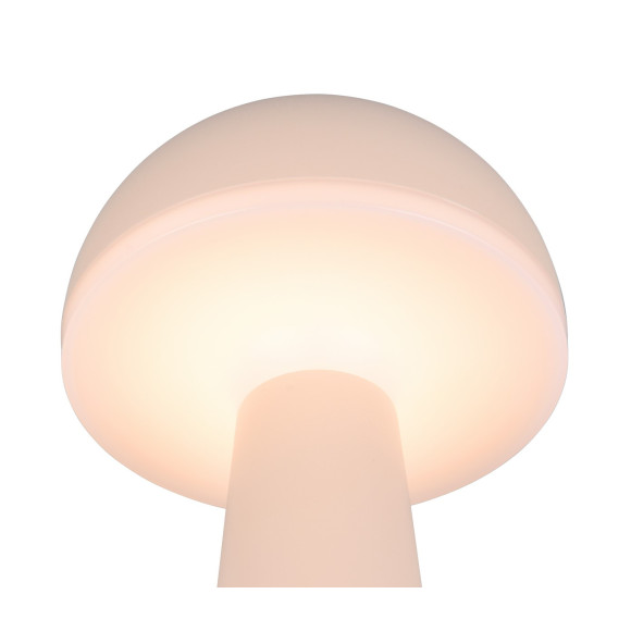 FUNGO R57716166