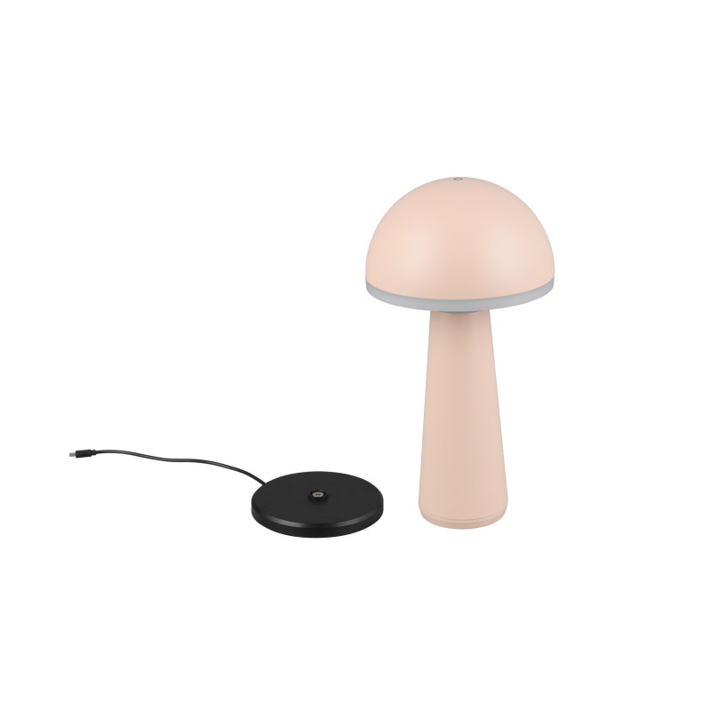 FUNGO R57716166