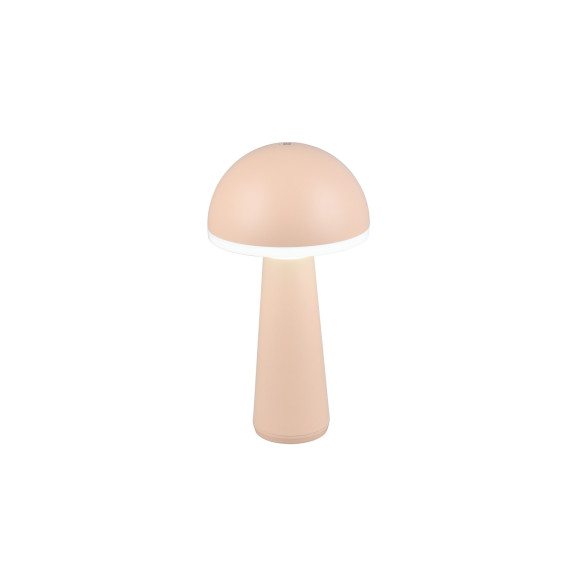 FUNGO R57716166