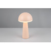 FUNGO R57716166