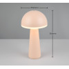 FUNGO R57716166