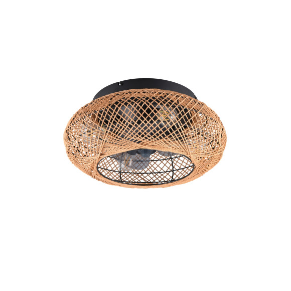 LILLESAND R67302126