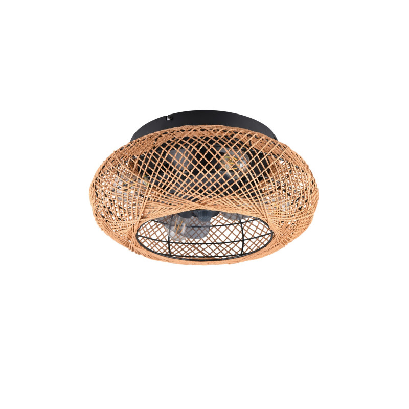 LILLESAND R67302126
