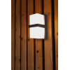 STELA  5197401118