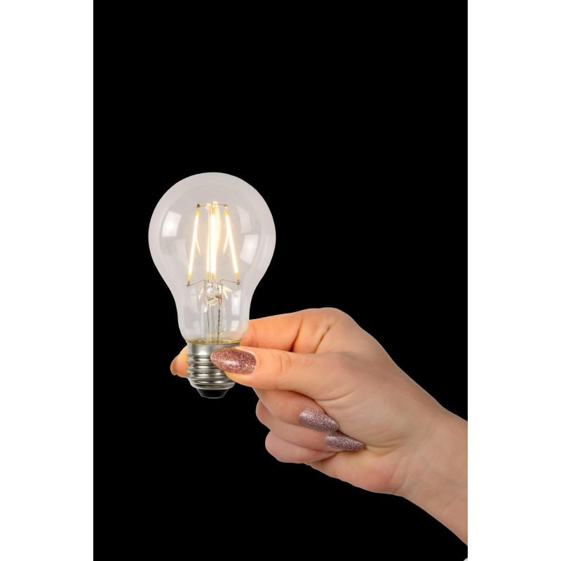 BULB A60 49080/07/60