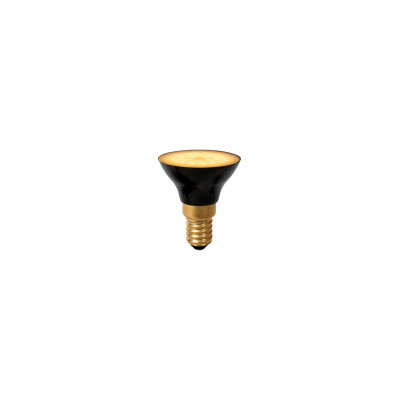 BULB G45 49098/05/30