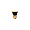 BULB G45 49099/05/30