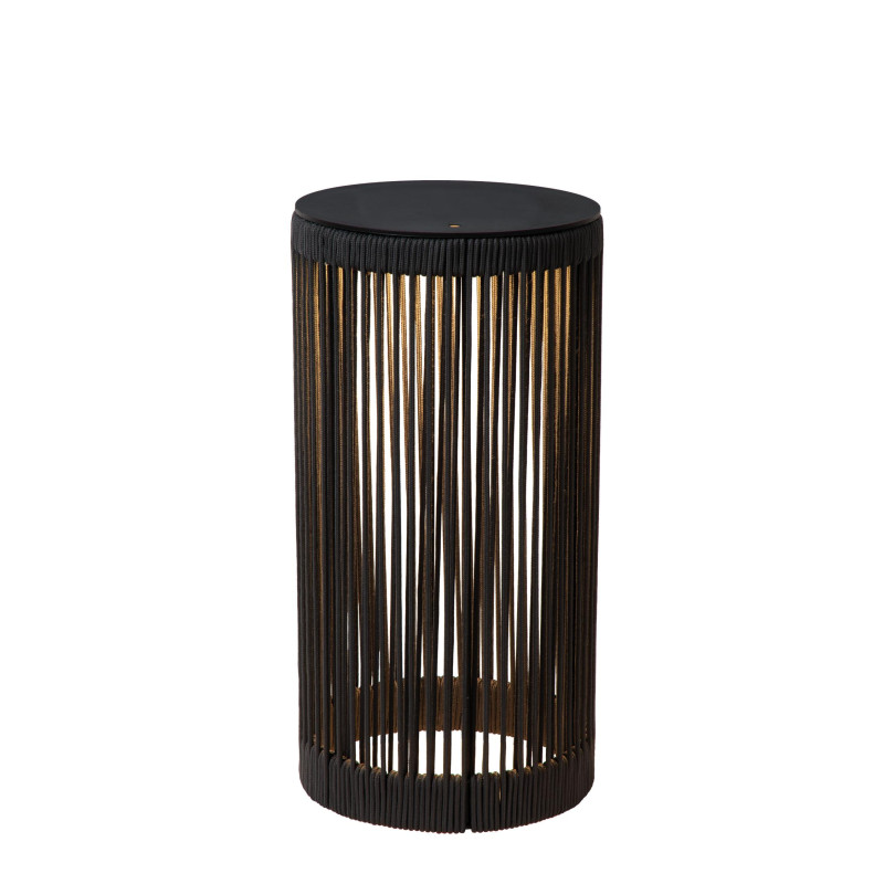 PINGI 06822/62/30