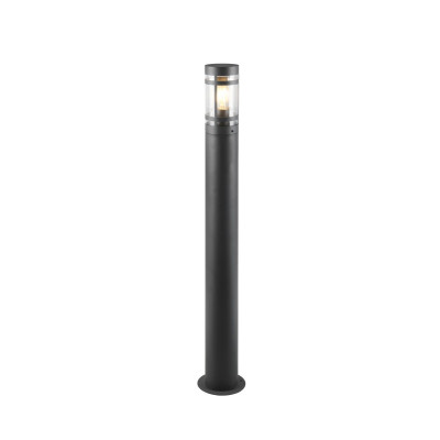 PALOMA R41716142