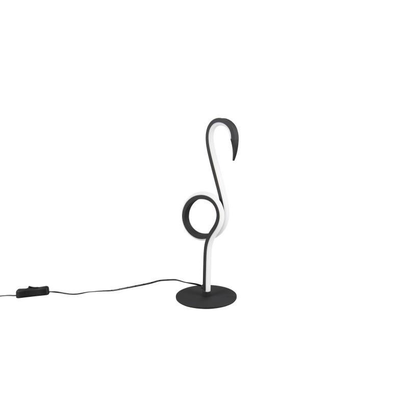 INGO R54581132