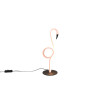 INGO R54581193
