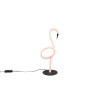 INGO R54581193