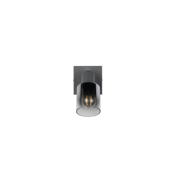 CADIZ R81781042