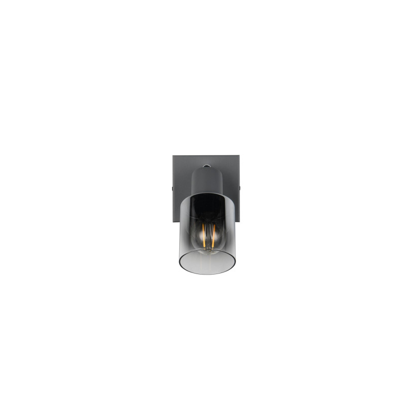 CADIZ R81781042