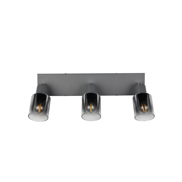 lampa sufitowa CADIZ R81783042 RL | Sklep z lampami lampa sufitowa CADIZ R81783042 RL | Sklep z lampami