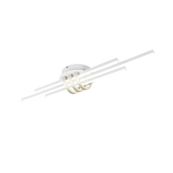 CINTO R67873131