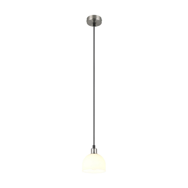 MOLLY R31861007