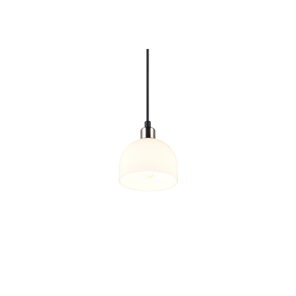 MOLLY R31861007