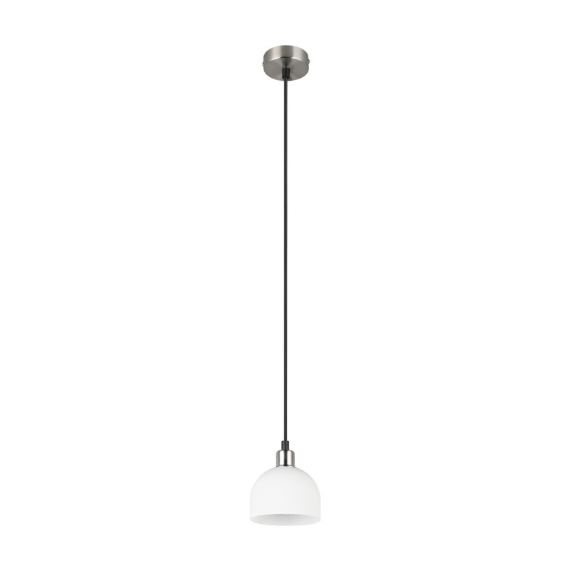 MOLLY R31861007