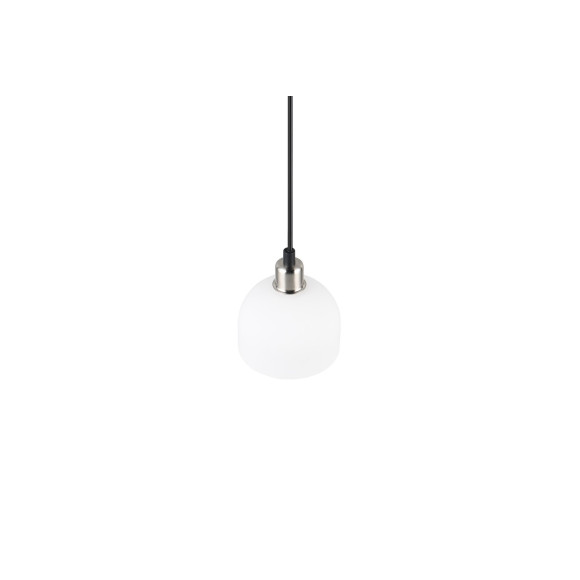 MOLLY R31861007