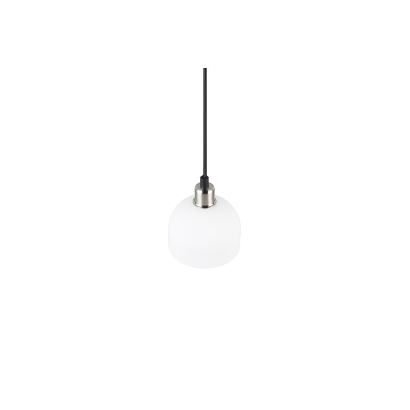 MOLLY R31861007