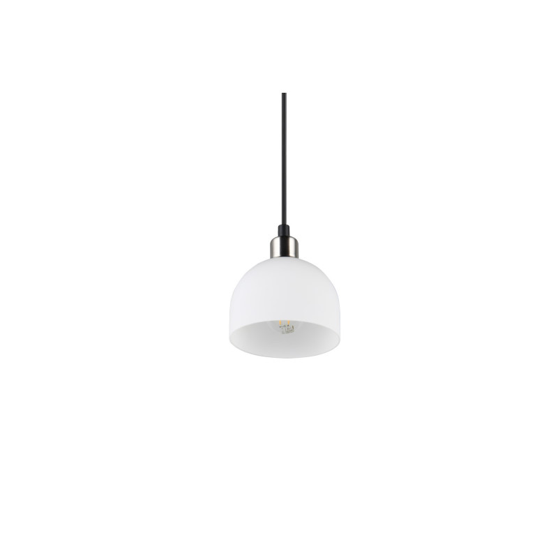 MOLLY R31861007