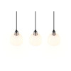 MOLLY R31863007